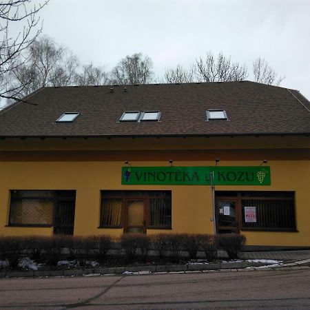 Отель Vinoteka "U Kozu" Нове-Место-над-Метуйи Экстерьер фото